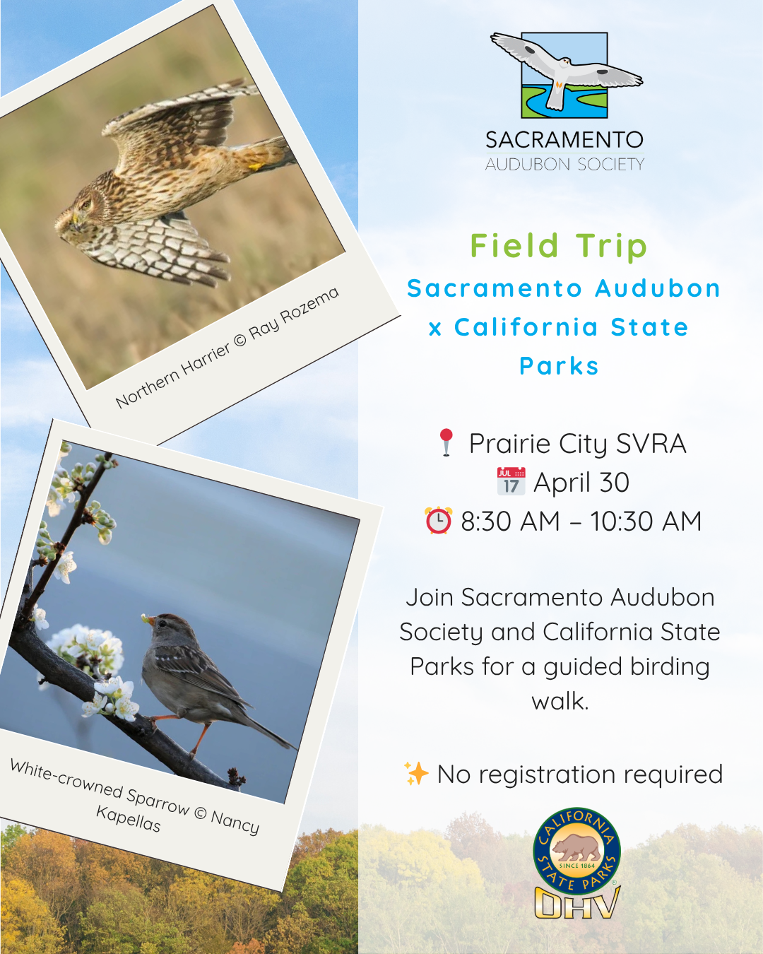 Guided Birding Walk Poster